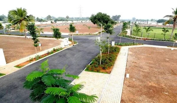 Featured Image of Bulwark Group Plots 2026 Update Total Projects