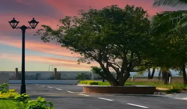 Featured Image of Things to Check Before Buying a Residential Plot in Bangalore